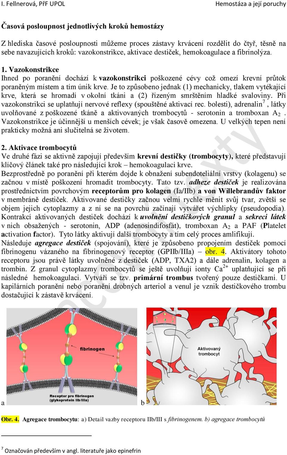 Je to způsobeno jednak (1) mechanicky, tlakem vytékající krve, která se hromadí v okolní tkáni a (2) řízeným smrštěním hladké svaloviny.