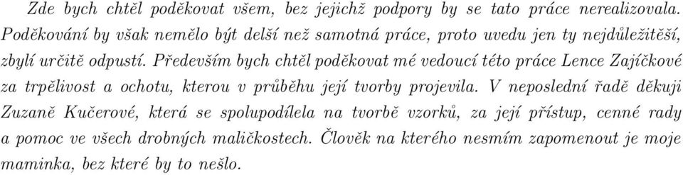 Především bych chtěl poděkovat mé vedoucí této práce Lence Zajíčkové za trpělivost a ochotu, kterou v průběhu její tvorby projevila.