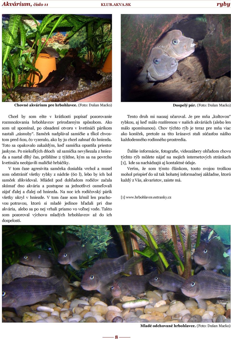 Toto sa opakovalo zakaždým, keď samička opustila priestor jaskyne.