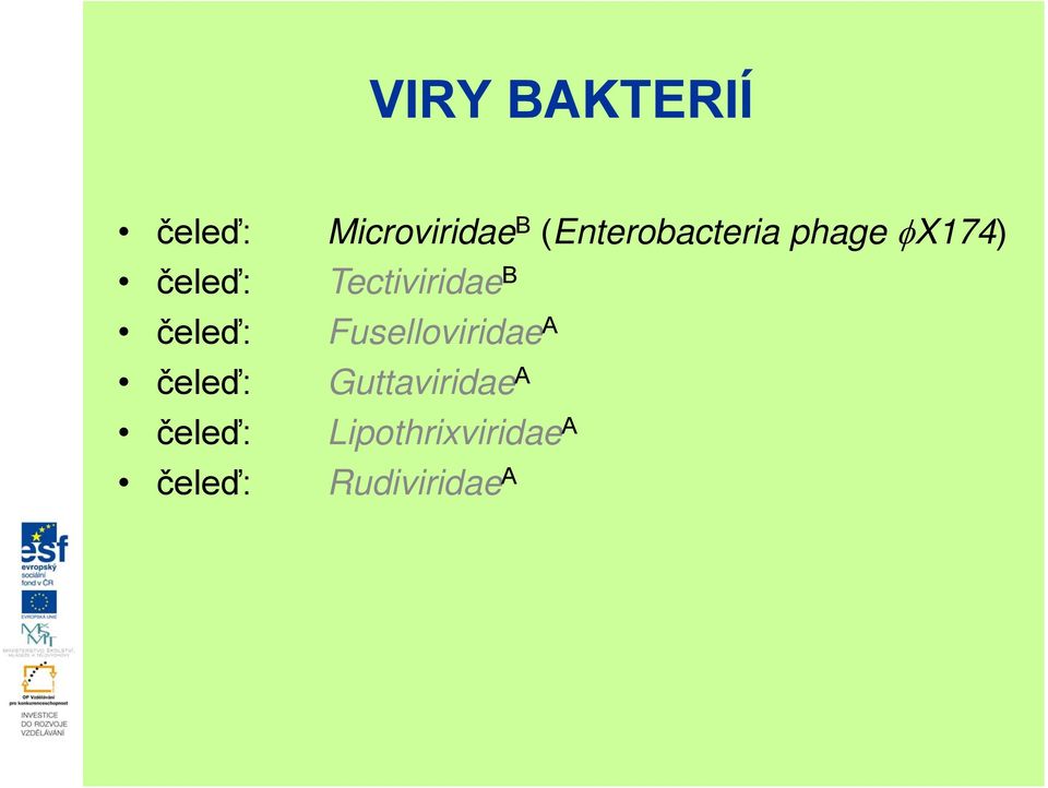Tectiviridae B čeleď: Fuselloviridae A