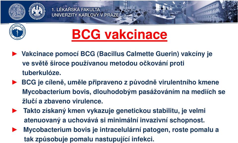 BCG je cíleně, uměle připraveno z původně virulentního kmene Mycobacterium bovis, dlouhodobým pasážováním na mediích se žlučí