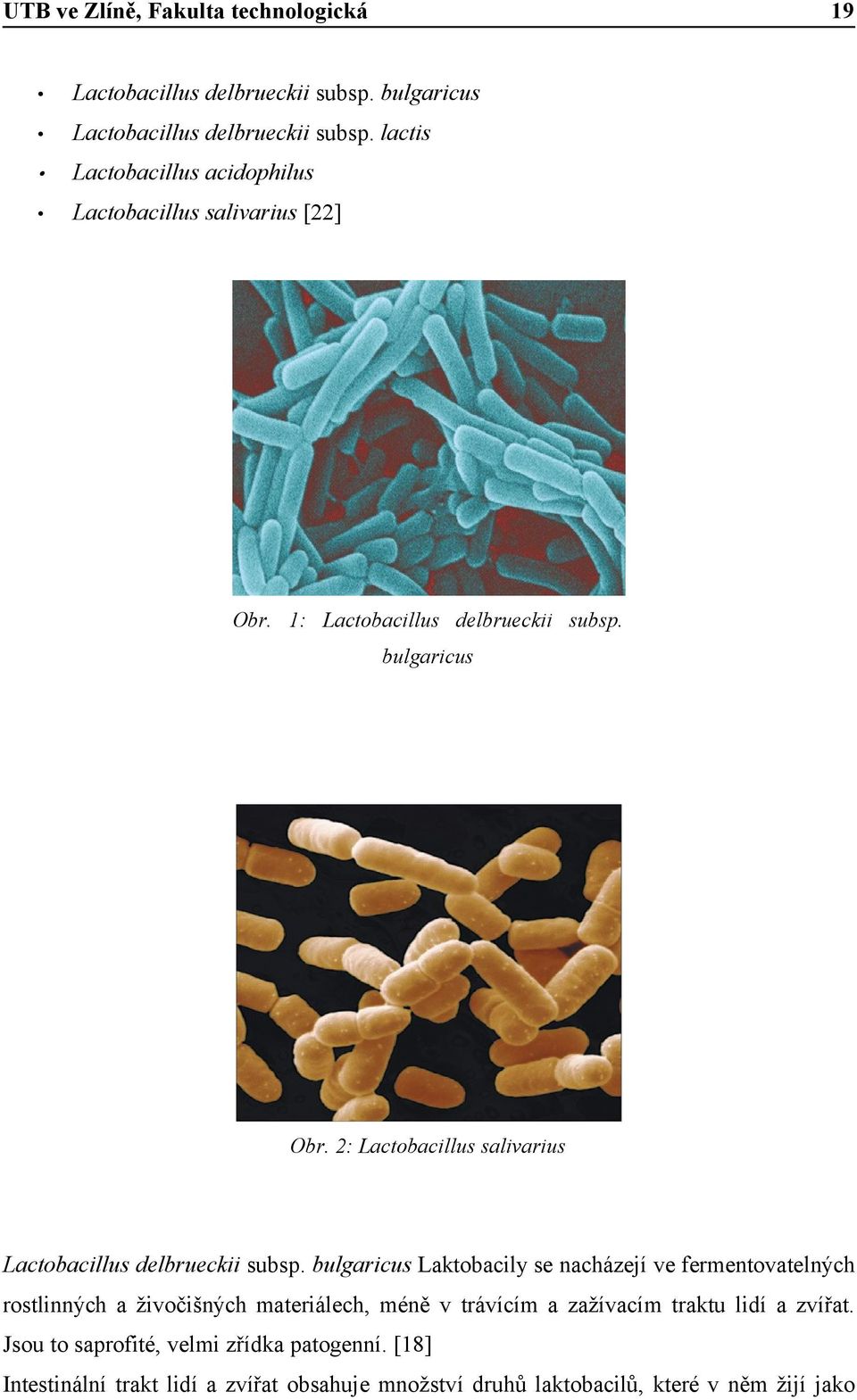 2: Lactobacillus salivarius Lactobacillus delbrueckii subsp.