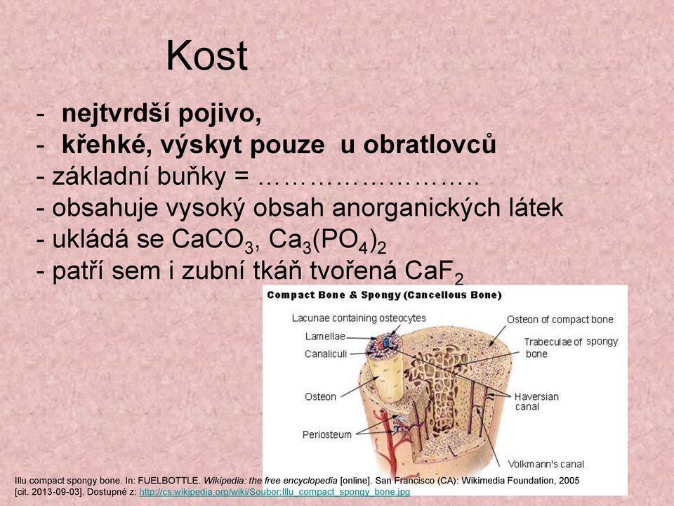 tvořená CaF 2 Illu compact spongy bone. In: FUELBOTTLE. Wikipedia: the free encyclopedia [online].