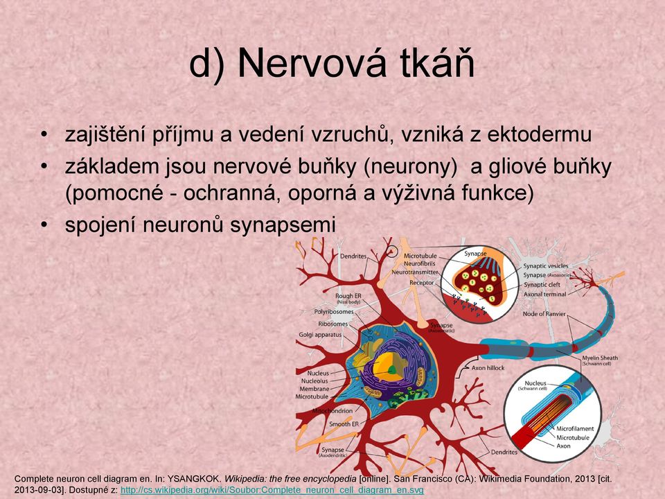 diagram en. In: YSANGKOK. Wikipedia: the free encyclopedia [online].