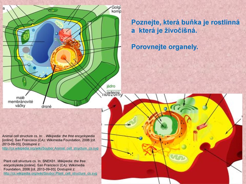 Dostupné z: http://cs.wikipedia.org/wiki/soubor:animal_cell_structure_cs.svg Plant cell structure cs. In: SNEK01.