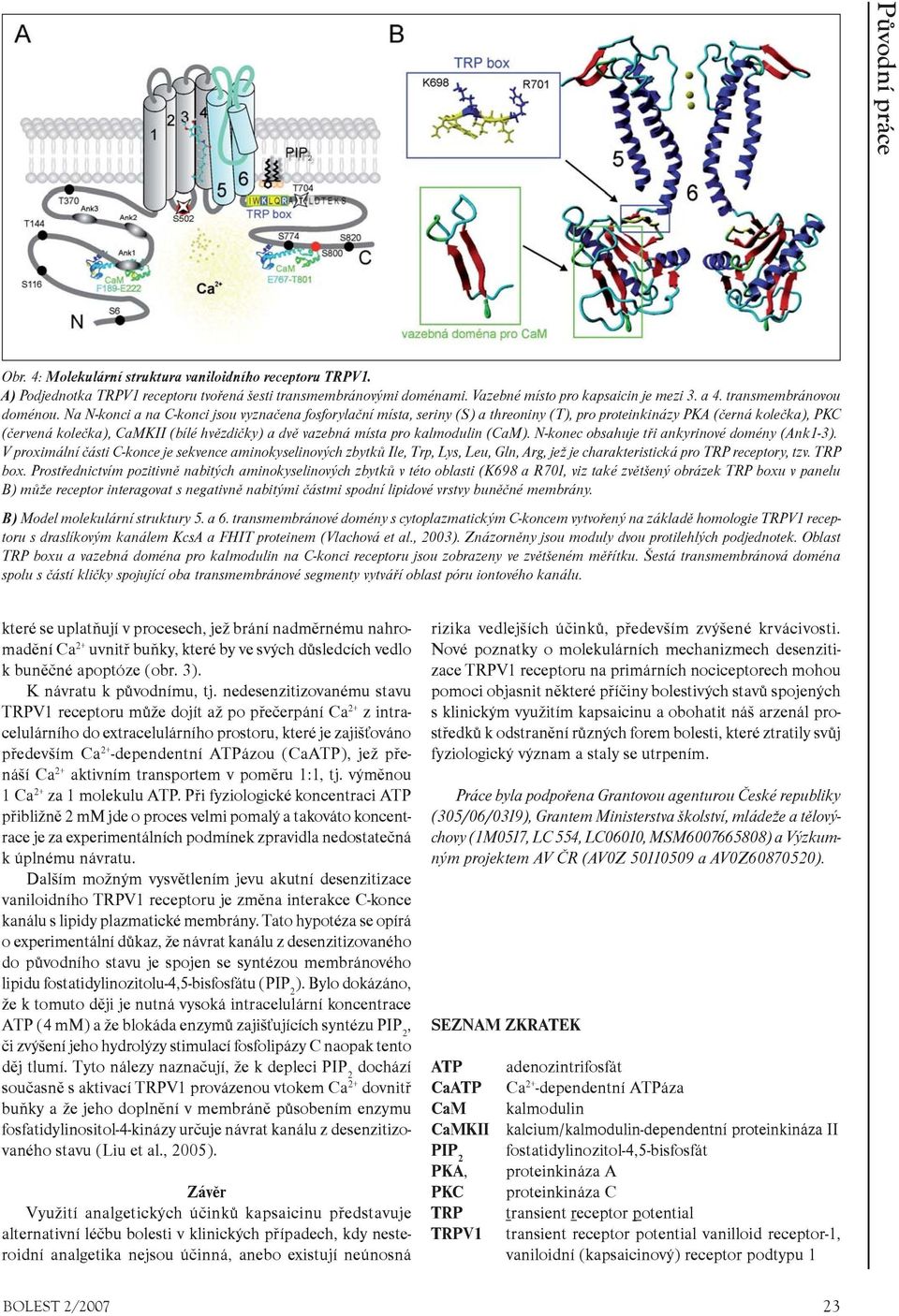 Na N-konci a na C-konci jsou vyznaèena fosforylaèní místa, seriny (S) a threoniny (T), pro proteinkinázy PKA (èerná koleèka), PKC (èervená koleèka), CaMKII (bílé hvìzdièky) a dvì vazebná místa pro