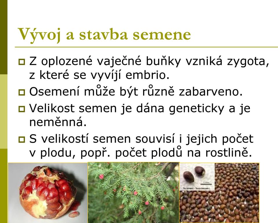 Velikost semen je dána geneticky a je neměnná.