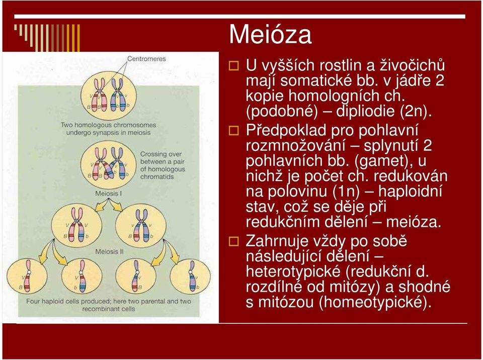 (gamet), u nichž je počet ch.