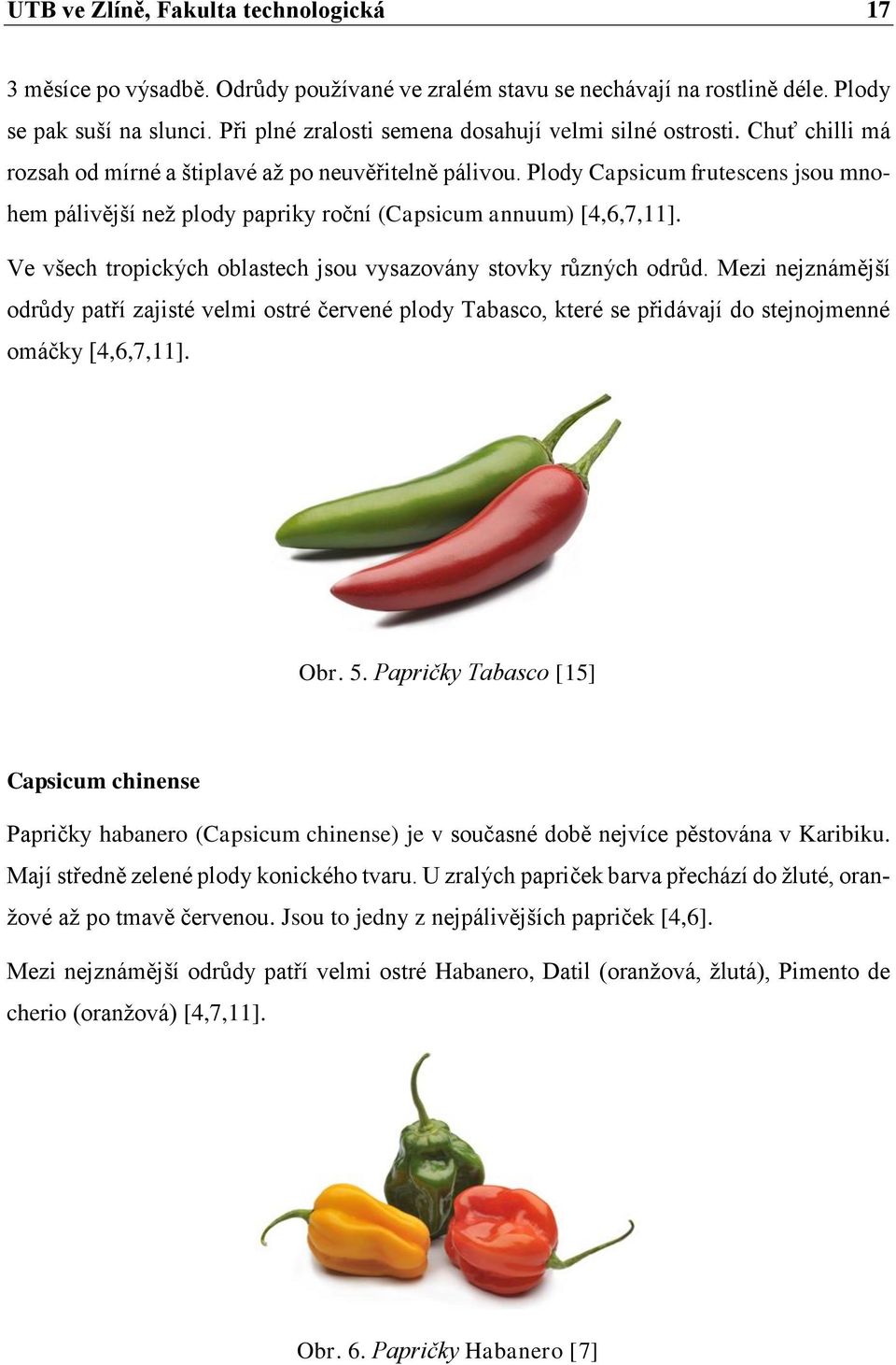 Plody Capsicum frutescens jsou mnohem pálivější než plody papriky roční (Capsicum annuum) [4,6,7,11]. Ve všech tropických oblastech jsou vysazovány stovky různých odrůd.