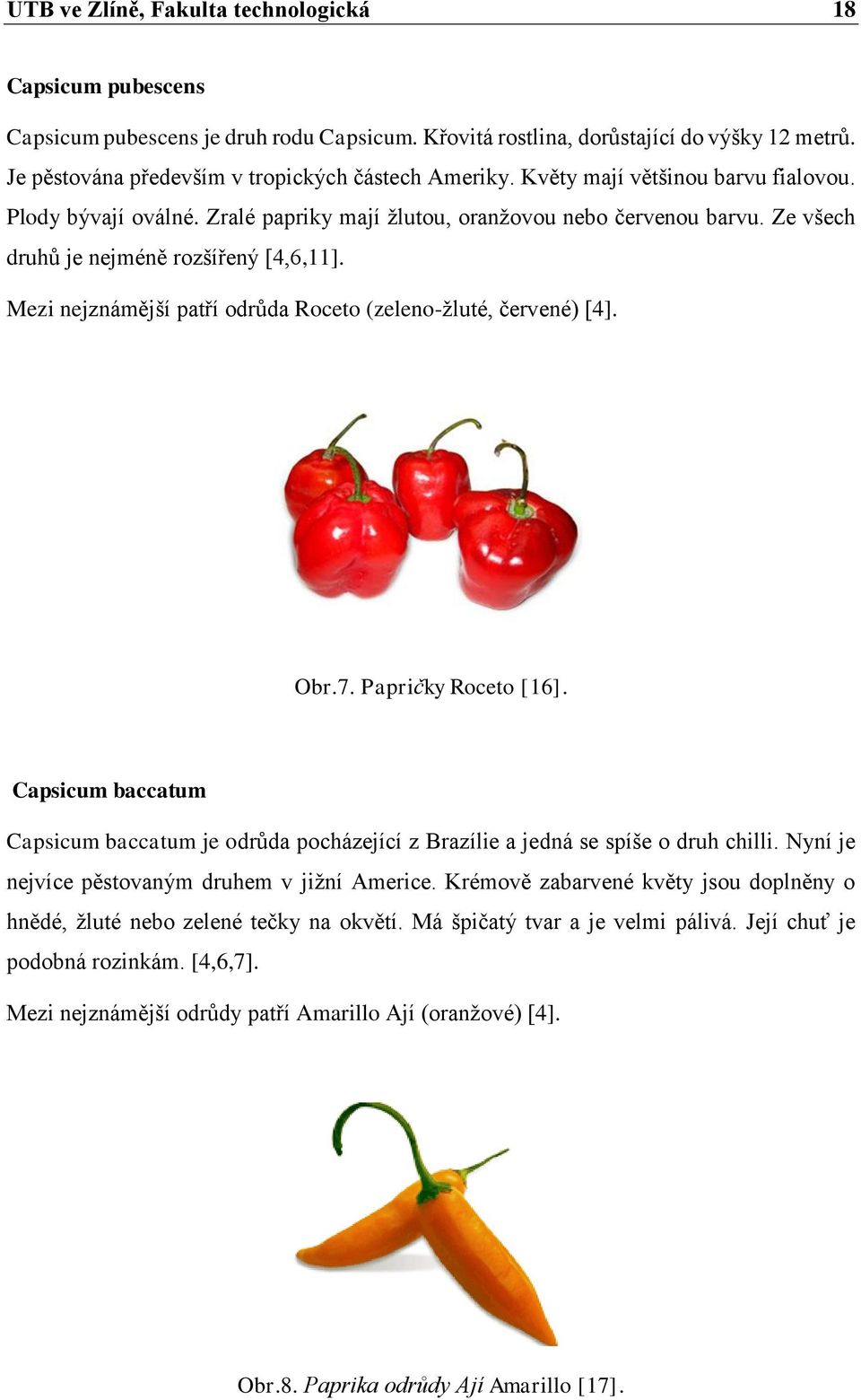 Ze všech druhů je nejméně rozšířený [4,6,11]. Mezi nejznámější patří odrůda Roceto (zeleno-žluté, červené) [4]. Obr.7. Papričky Roceto [16].