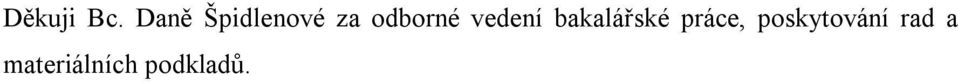 odborné vedení bakalářské