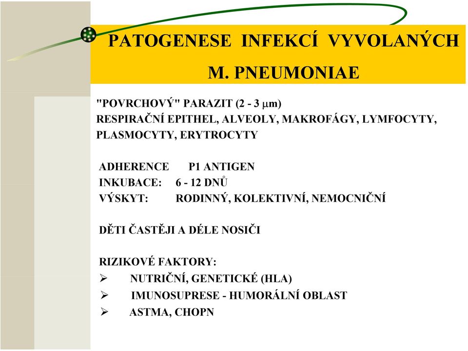 LYMFOCYTY, PLASMOCYTY, ERYTROCYTY ADHERENCE P1 ANTIGEN INKUBACE: 6-12 DNŮ VÝSKYT: