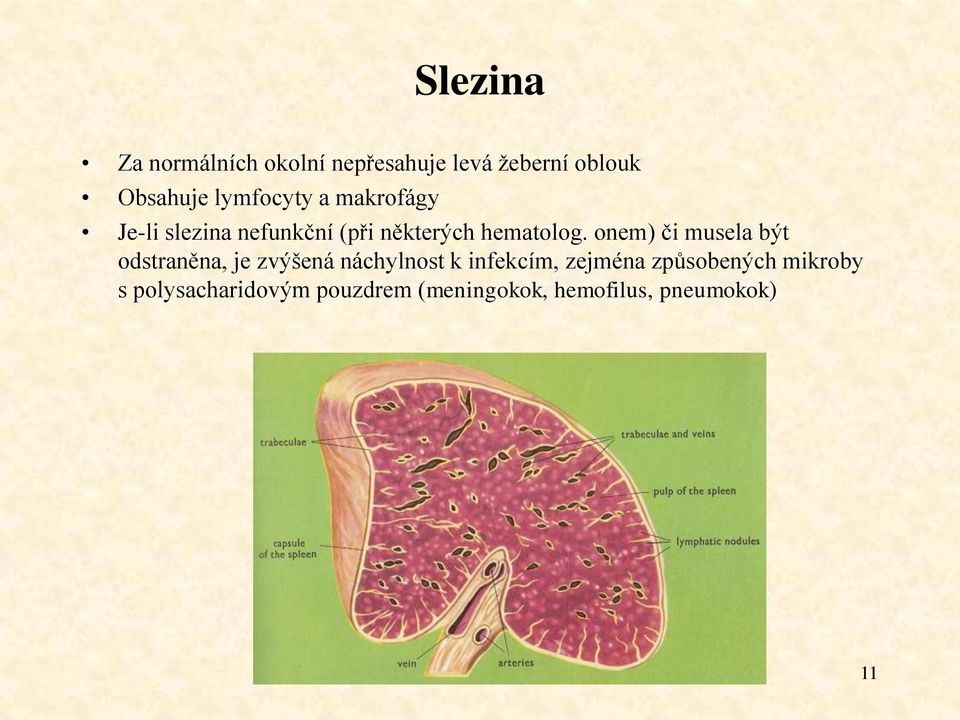 onem) či musela být odstraněna, je zvýšená náchylnost k infekcím, zejména