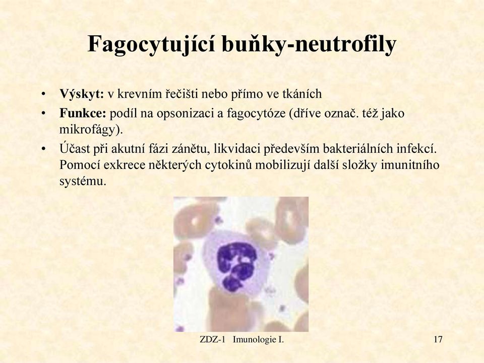 Účast při akutní fázi zánětu, likvidaci především bakteriálních infekcí.