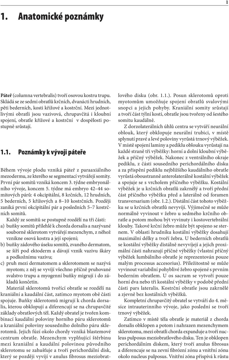 1. Poznámky k vývoji páteře Během vývoje plodu vzniká páteř z paraaxiálního mezodermu, ze kterého se segmentací vytvářejí somity. První pár somitů vzniká koncem 3.