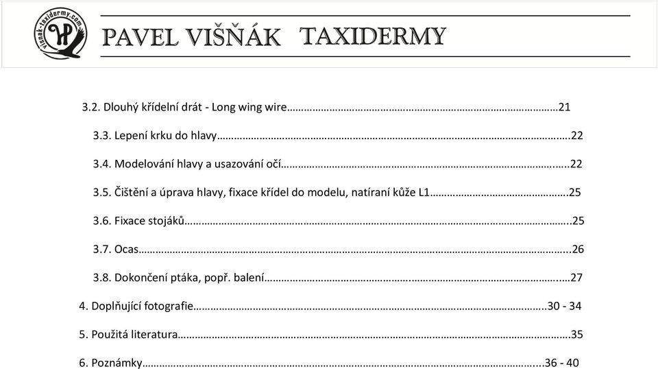 Čištění a úprava hlavy, fixace křídel do modelu, natíraní kůže L1.25 3.6.