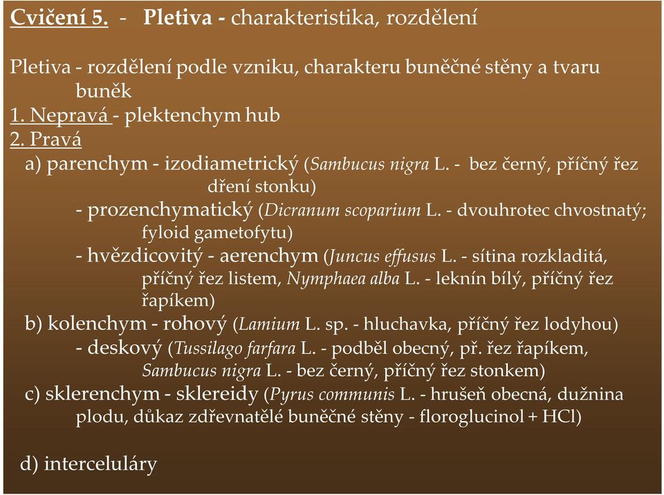 - dvouhrotec chvostnatý; fyloid gametofytu) - hvězdicovitý - aerenchym (Juncus effusus L. - sítina rozkladitá, příčný řez listem, Nymphaea alba L.