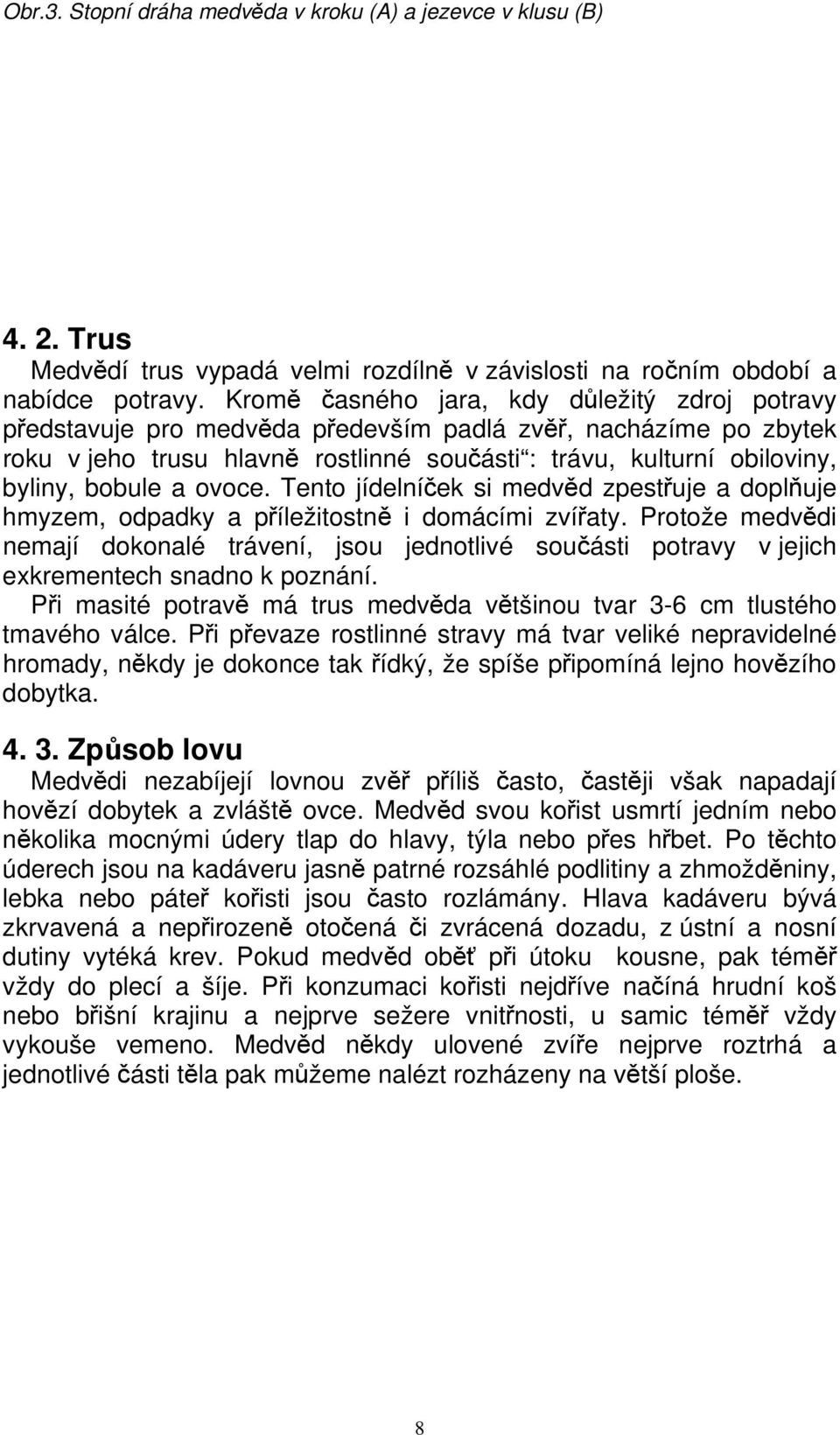 bobule a ovoce. Tento jídelníček si medvěd zpestřuje a doplňuje hmyzem, odpadky a příležitostně i domácími zvířaty.