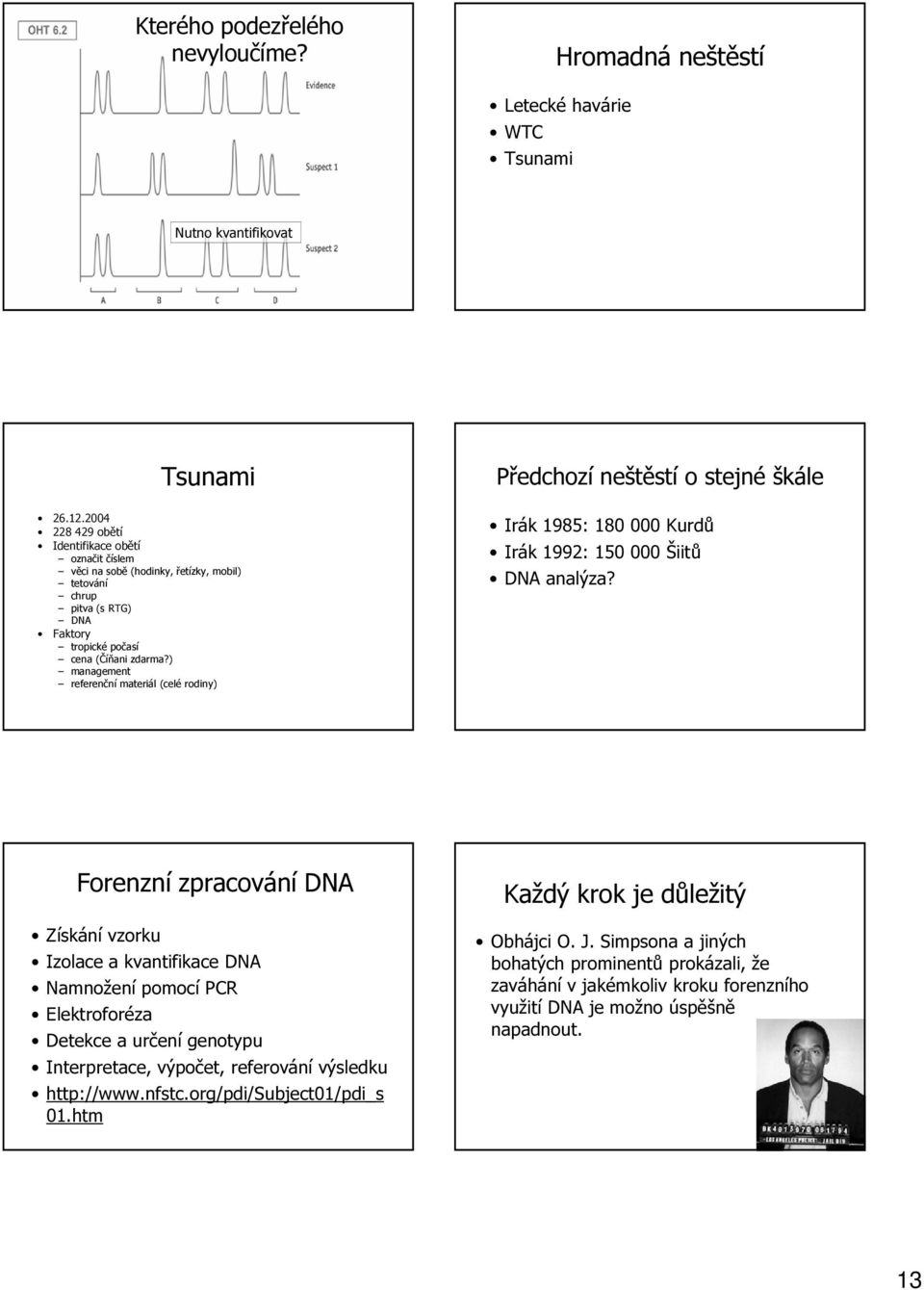 ) management referenční materiál (celé rodiny) Předchozí neštěstí o stejné škále Irák 1985: 180 000 Kurdů Irák 1992: 150 000 Šiitů DNA analýza?