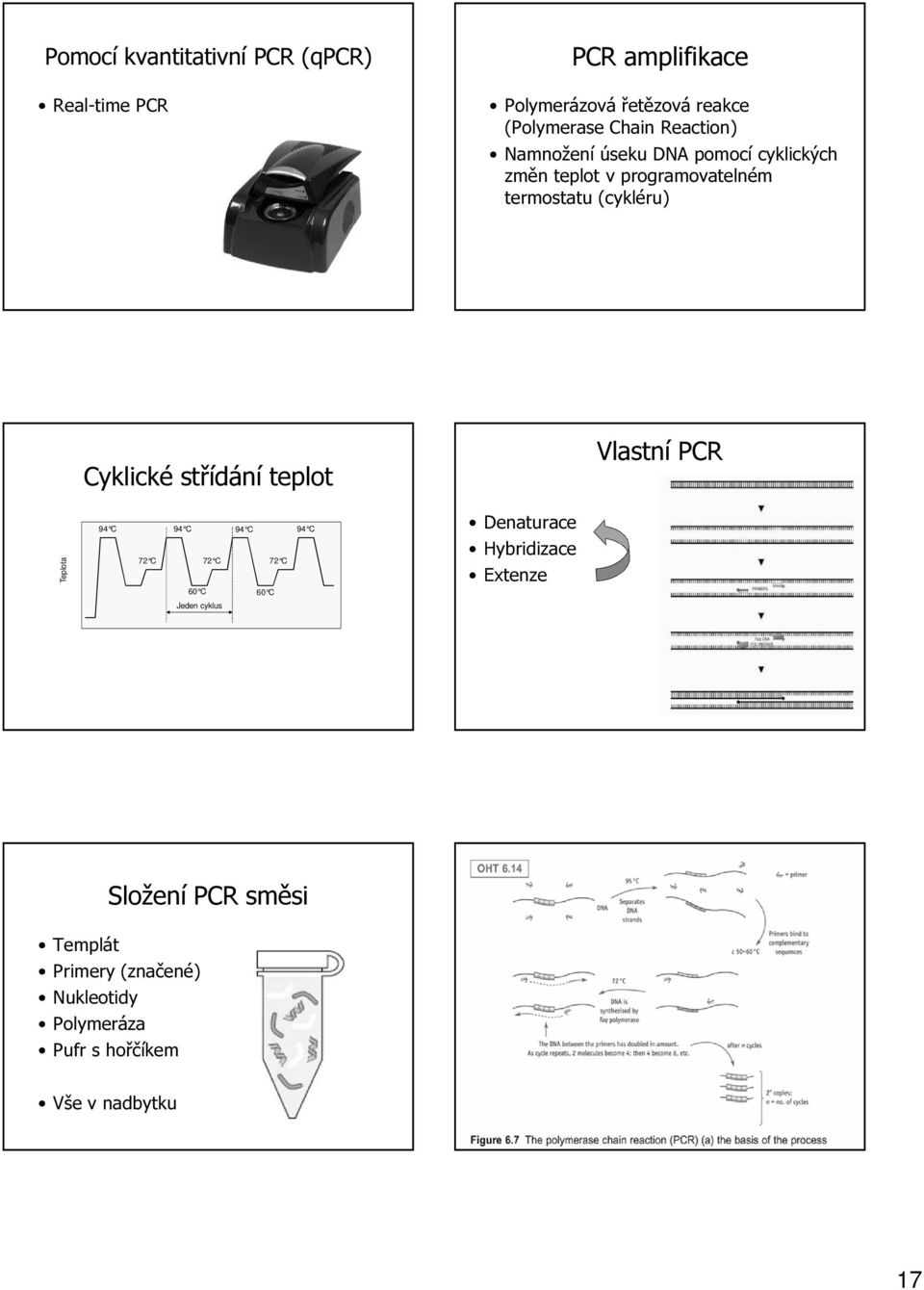 střídání teplot Vlastní PCR Teplota 94 C 60 o C 72 C 94 C 94 C 94 C 72 C 72 C 60 C 60 C Jeden cyklus Denaturace