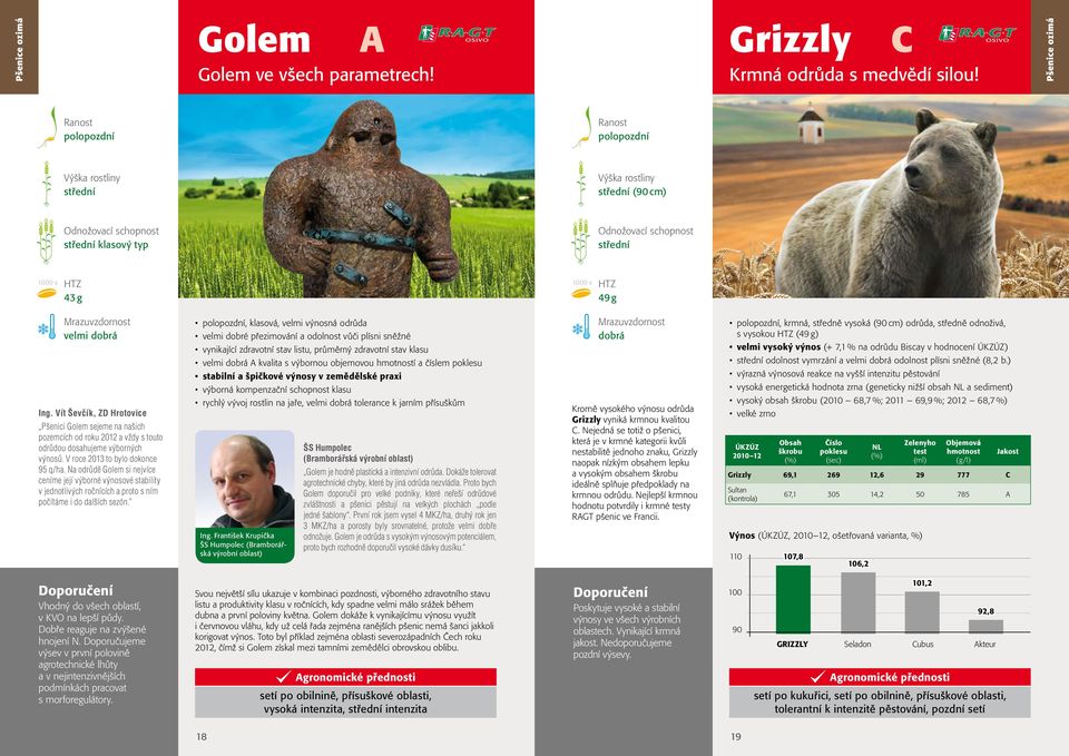 Na odrůdě Golem si nejvíce ceníme její výborné výnosové stability v jednotlivých ročnících a proto s ním počítáme i do dalších sezón.