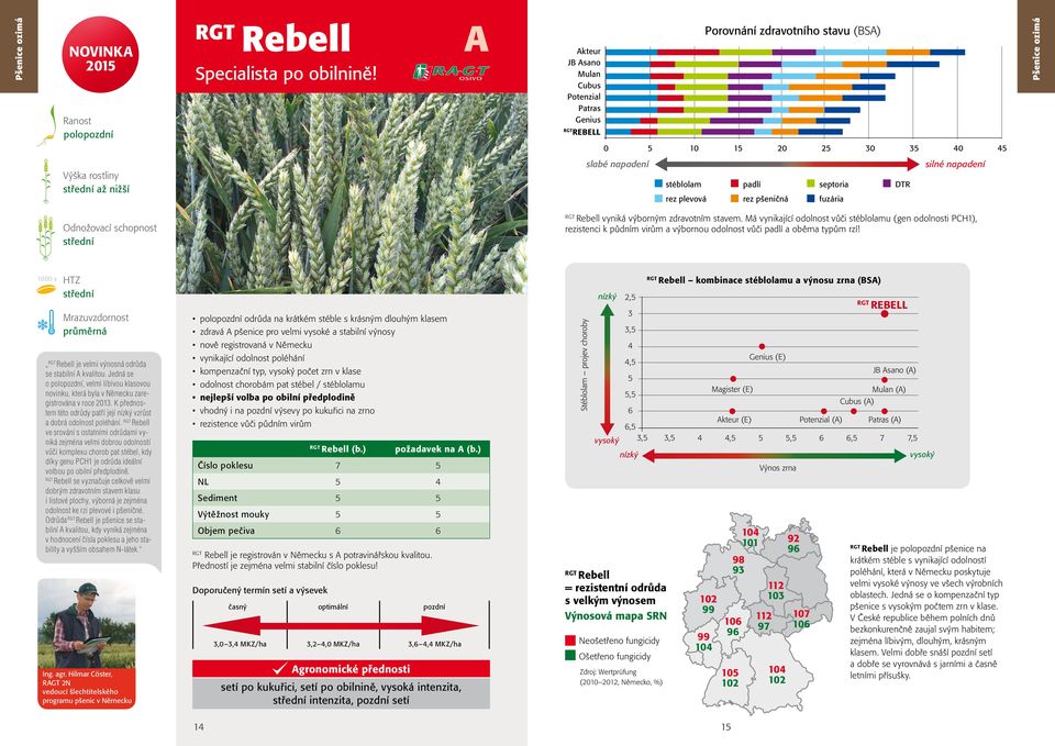 rez pšeničná septoria fuzária DTR silné napadení Rebell vyniká výborným zdravotním stavem.