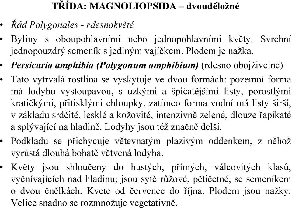 kratičkými, přitisklými chloupky, zatímco forma vodní má listy širší, v základu srdčité, lesklé a kožovité, intenzivně zelené, dlouze řapíkaté a splývající na hladině. Lodyhy jsou též značně delší.