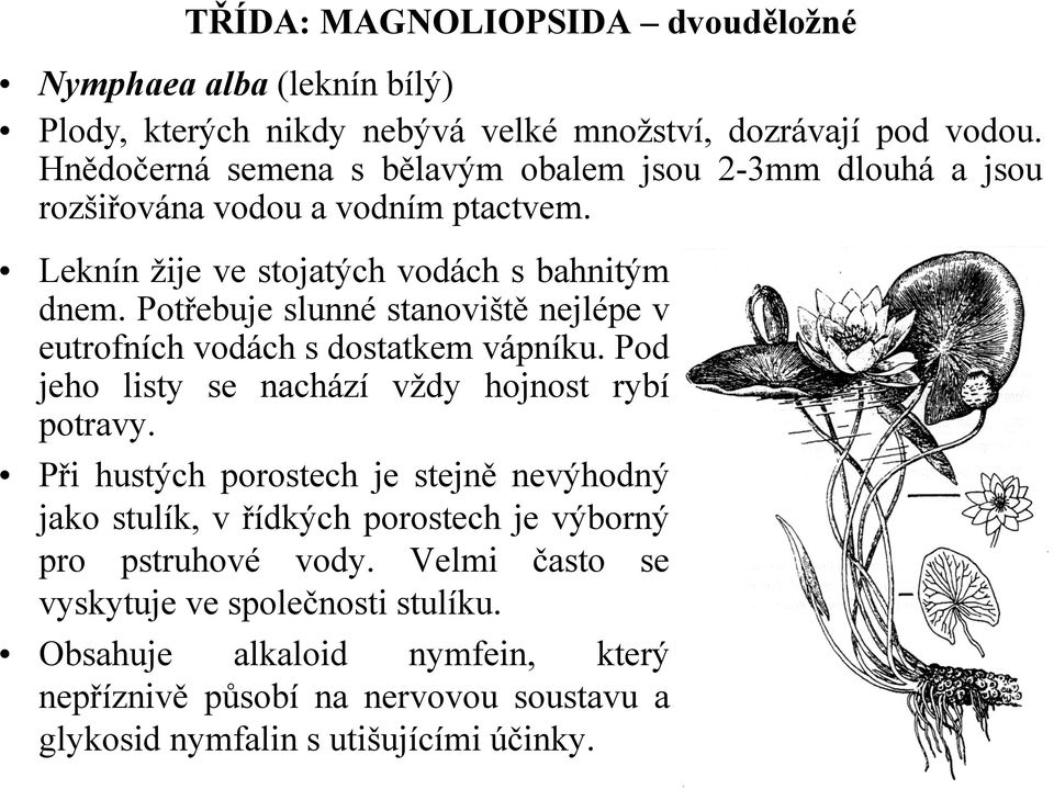 Potřebuje slunné stanoviště nejlépe v eutrofních vodách s dostatkem vápníku. Pod jeho listy se nachází vždy hojnost rybí potravy.