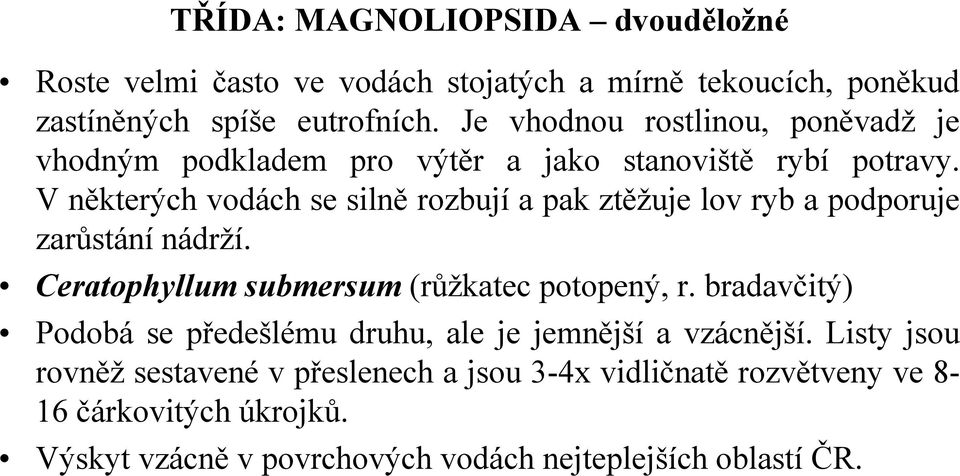 Vněkterých vodách se silně rozbují a pak ztěžuje lov ryb a podporuje zarůstání nádrží. Ceratophyllum submersum (růžkatec potopený, r.