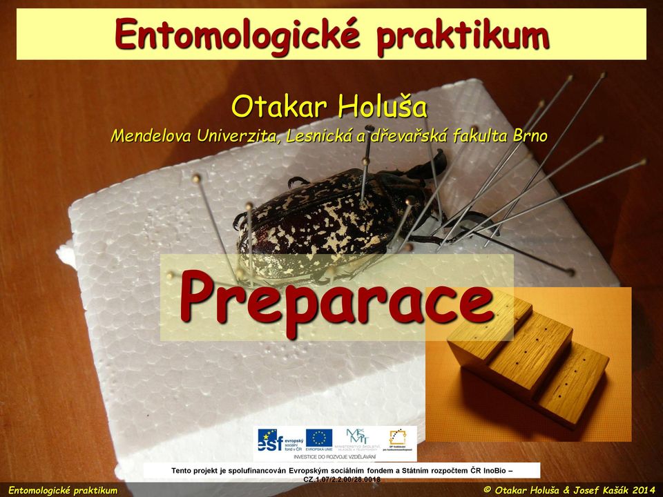 Entomologické praktikum - PDF Free Download