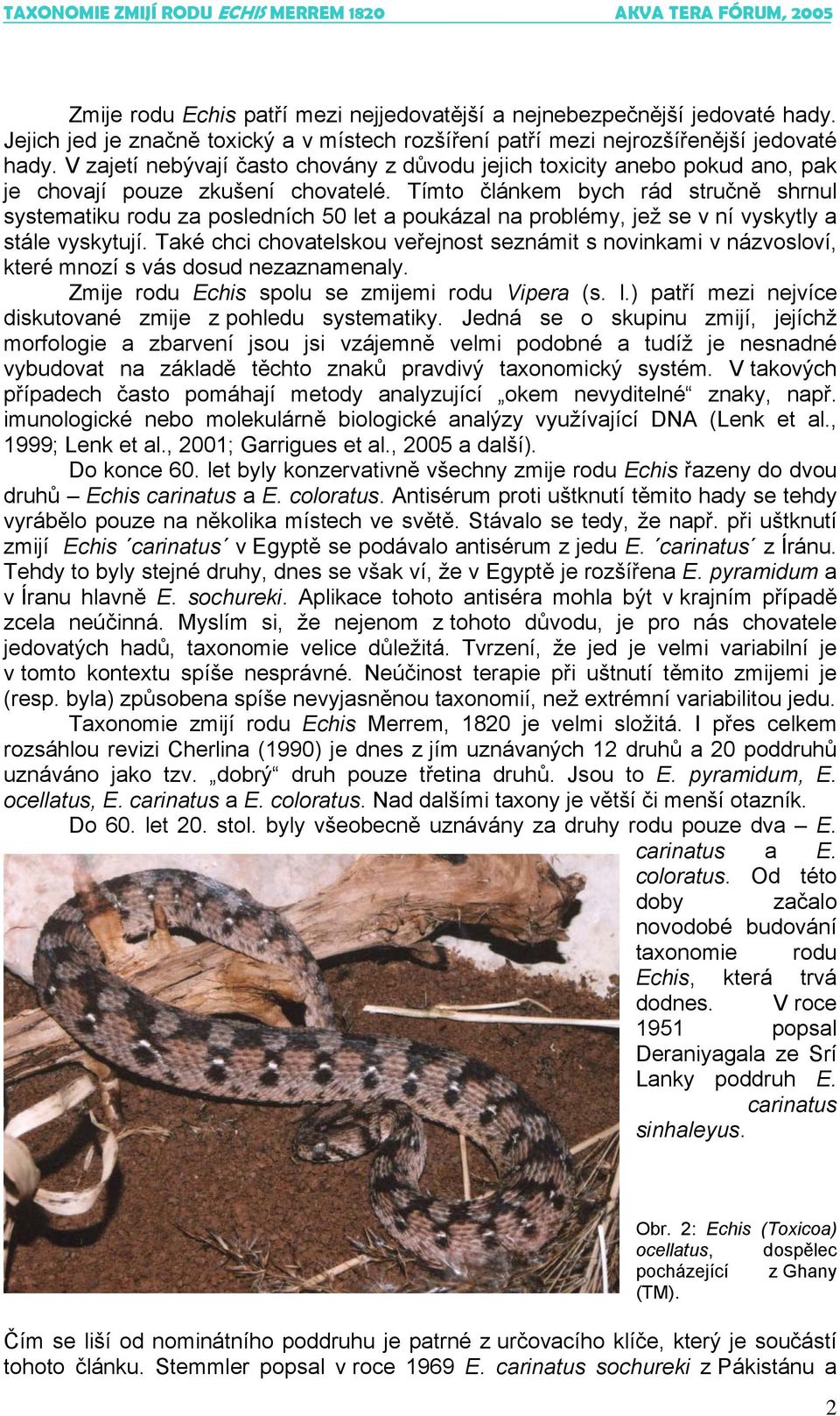 Tímto článkem bych rád stručně shrnul systematiku rodu za posledních 50 let a poukázal na problémy, jež se v ní vyskytly a stále vyskytují.