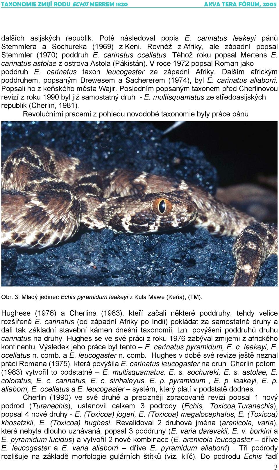Dalším africkým poddruhem, popsaným Drewesem a Sachererem (1974), byl E. carinatus aliaborri. Popsali ho z keňského města Wajir.