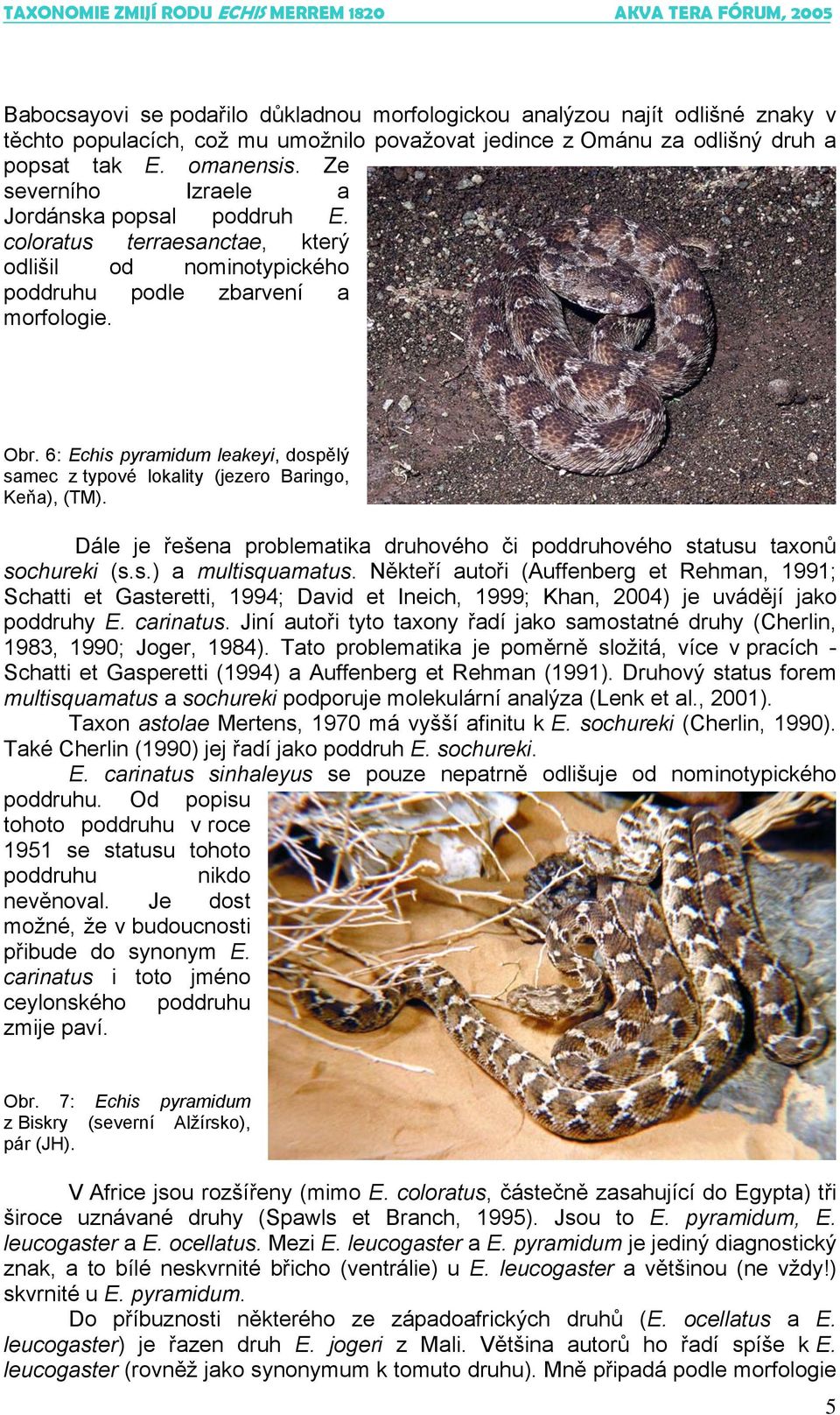 6: Echis pyramidum leakeyi, dospělý samec z typové lokality (jezero Baringo, Keňa), (TM). Dále je řešena problematika druhového či poddruhového statusu taxonů sochureki (s.s.) a multisquamatus.