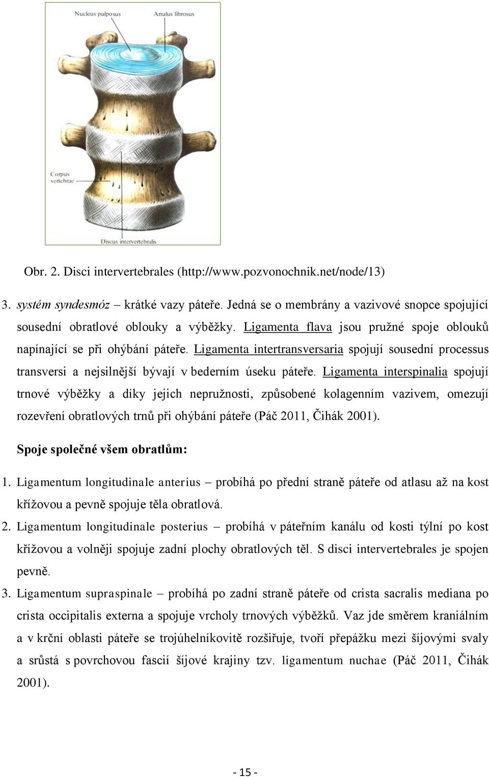 Ligamenta interspinalia spojují trnové výběžky a díky jejich nepružnosti, způsobené kolagenním vazivem, omezují rozevření obratlových trnů při ohýbání páteře (Páč 2011, Čihák 2001).