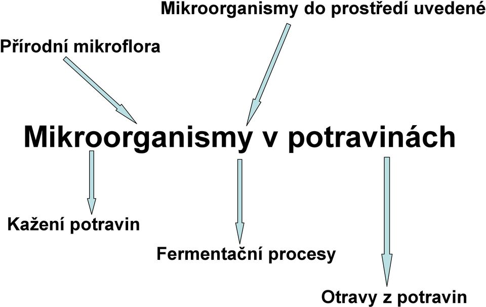 Mikroorganismy v potravinách