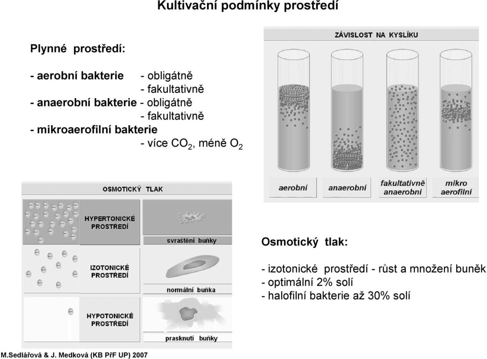 -mikroaerofilní bakterie -více CO 2, méně O 2 Osmotický tlak: -