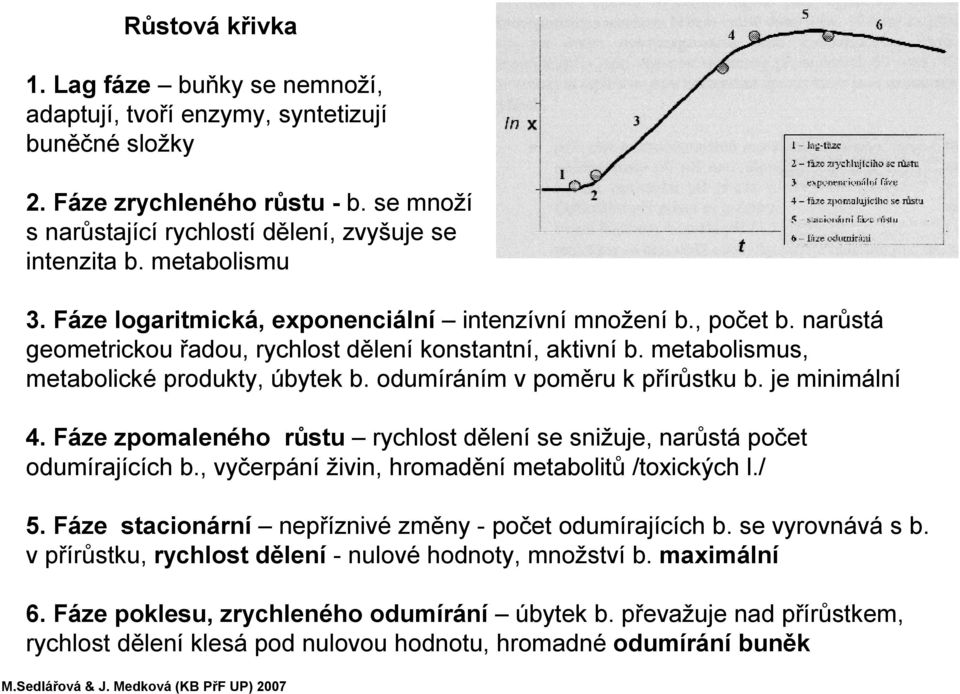 odumíráním v poměru k přírůstku b. je minimální 4. Fáze zpomaleného růstu rychlost dělení se snižuje, narůstá počet odumírajících b., vyčerpání živin, hromadění metabolitů /toxických l./ 5.