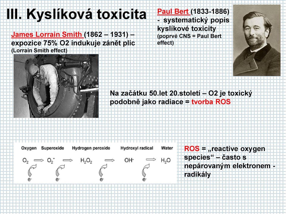 (poprvé CNS = Paul Bert effect) Na začátku 50.let 20.