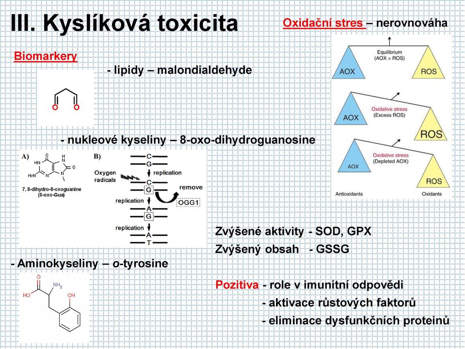 o-tyrosine Zvýšené aktivity - SOD, GPX Zvýšený obsah - GSSG Pozitiva - role