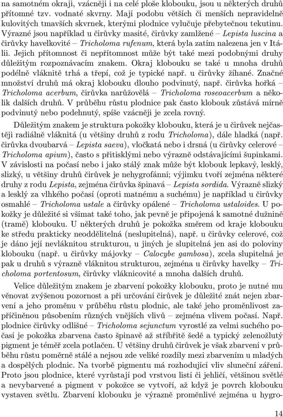 Výrazné jsou například u čirůvky masité, čirůvky zamlžené Lepista luscina a čirůvky havelkovité Tricholoma rufenum, která byla zatím nalezena jen v Itálii.