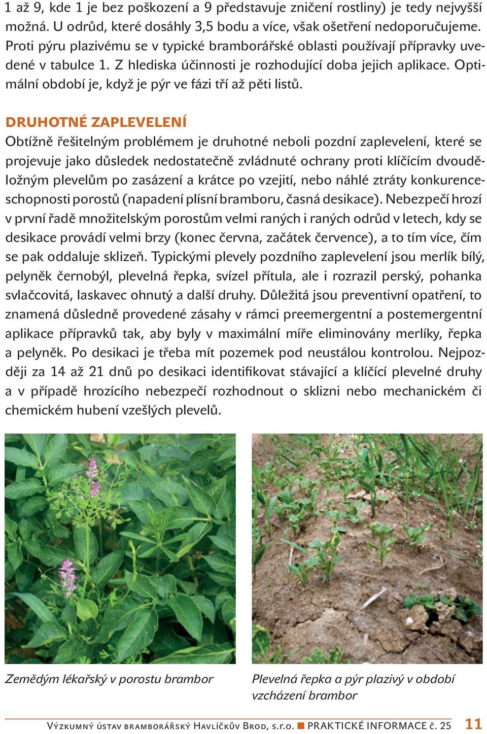 Optimální období je, když je pýr ve fázi tří až pěti listů.