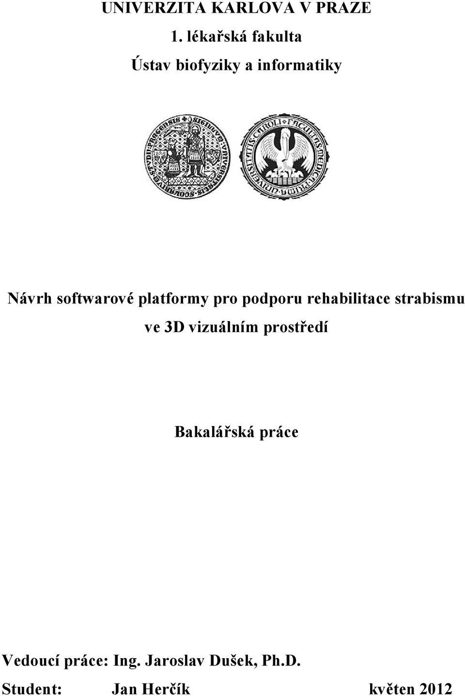 platformy pro podporu rehabilitace strabismu ve 3D vizuálním