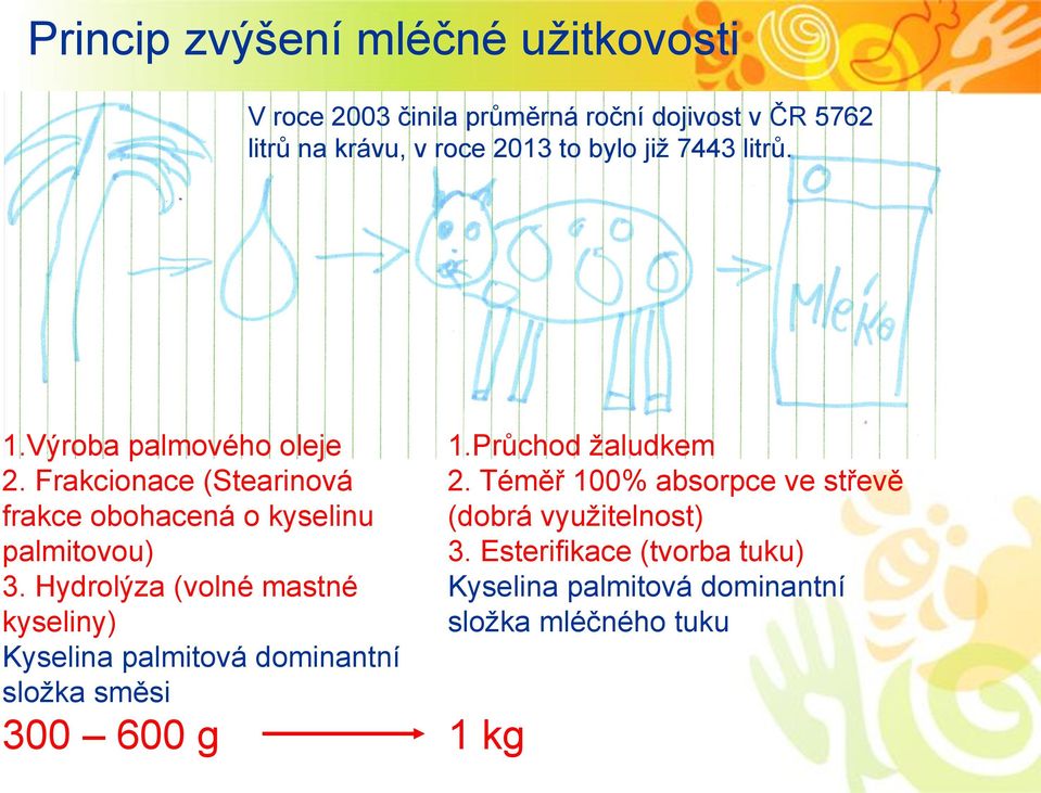 Hydrolýza (volné mastné kyseliny) Kyselina palmitová dominantní složka směsi 300 600 g 1.Průchod žaludkem 2.