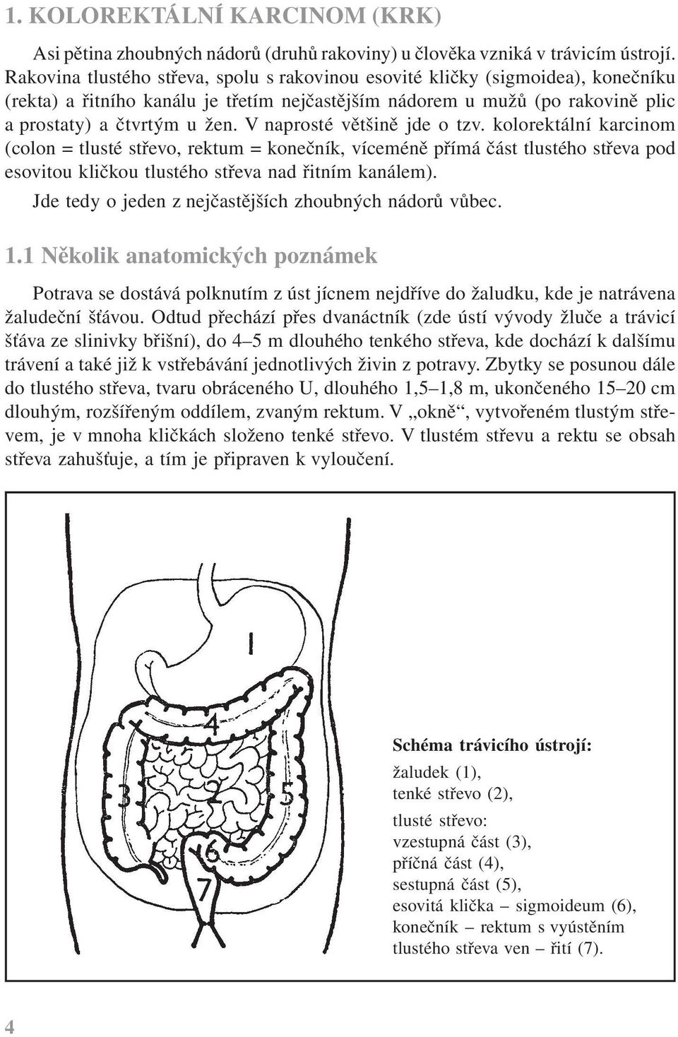 V naprosté většině jde o tzv. kolorektální karcinom (colon = tlusté střevo, rektum = konečník, víceméně přímá část tlustého střeva pod esovitou kličkou tlustého střeva nad řitním kanálem).