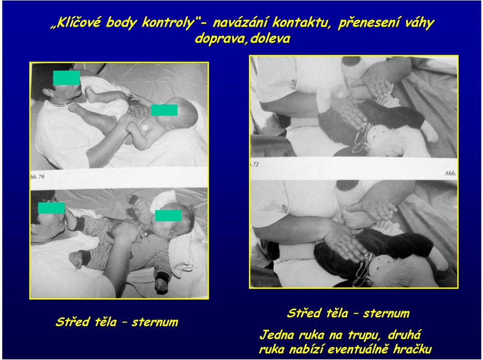 Střed těla sternum Střed těla sternum