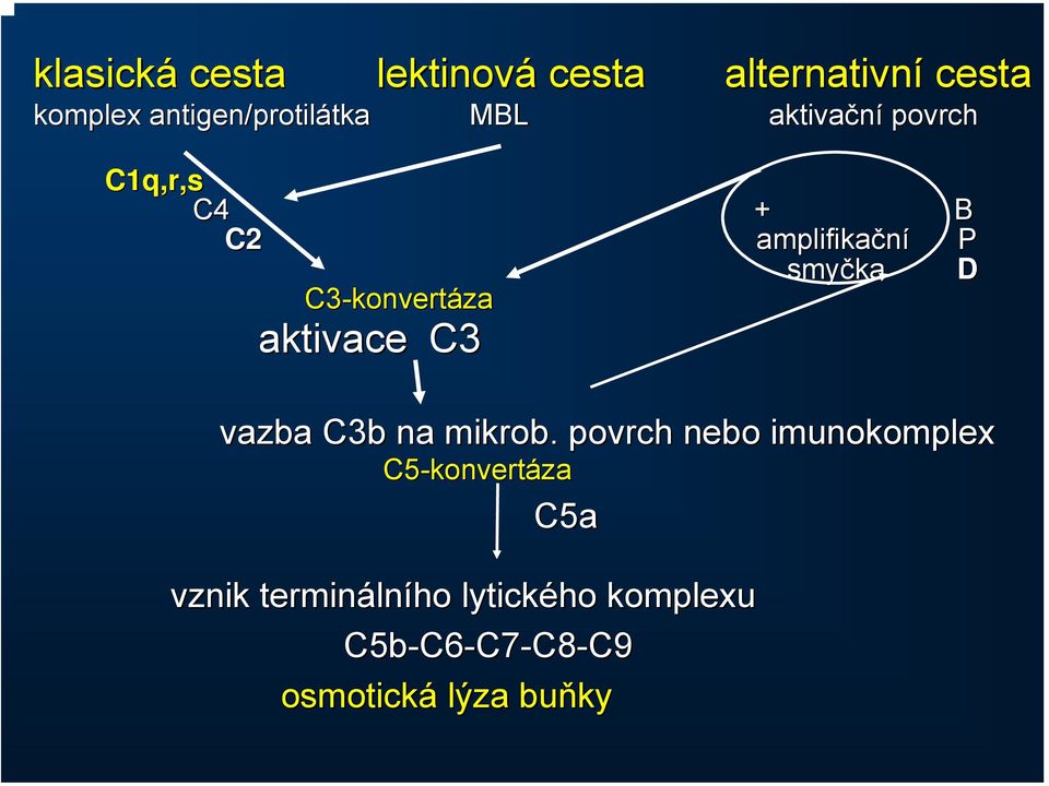 aktivace C3 vazba C3b na mikrob.