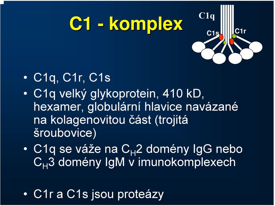 kolagenovitou část (trojitá šroubovice) C1q se váže na C H 2