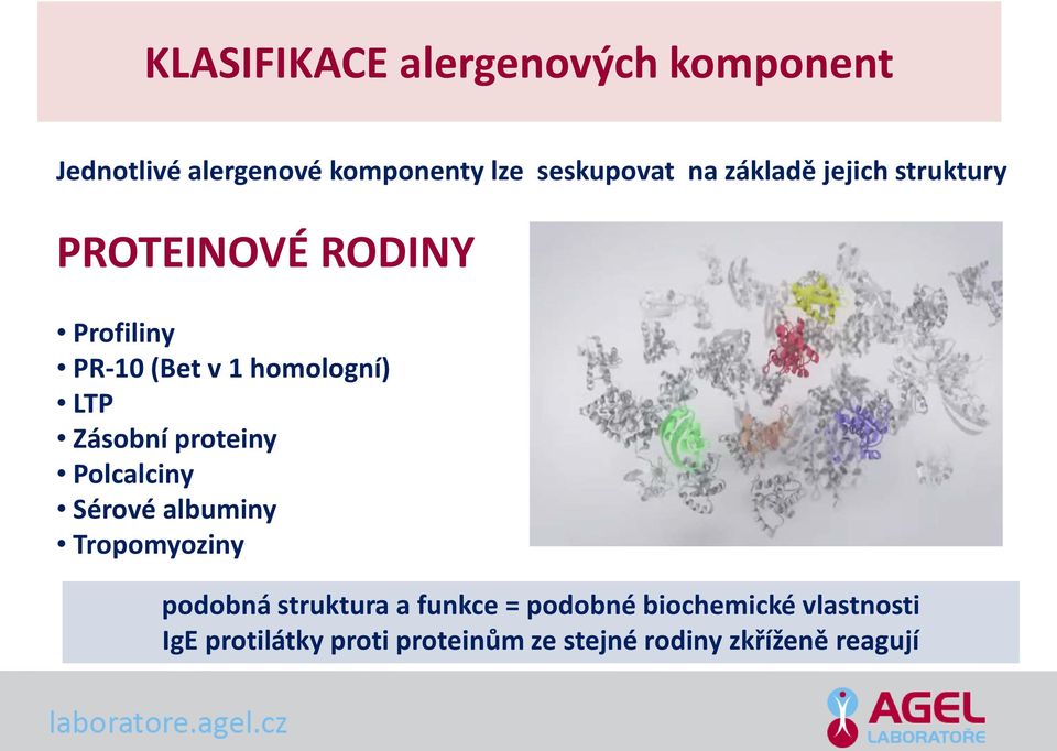 Zásobní proteiny Polcalciny Sérové albuminy Tropomyoziny podobná struktura a funkce =