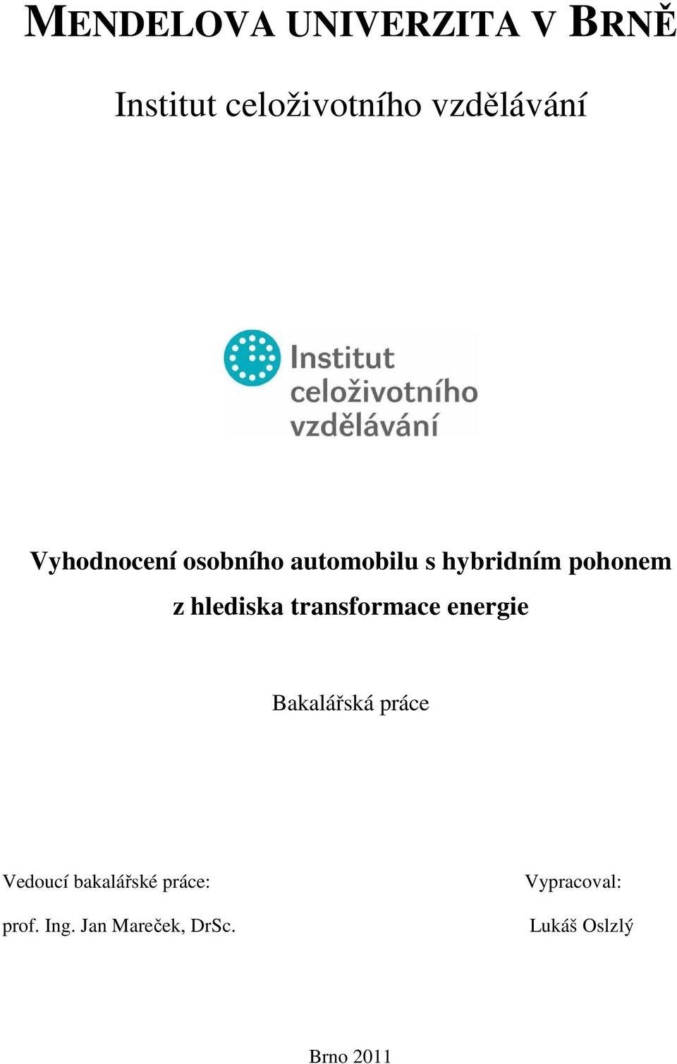 transformace energie Bakalářská práce Vedoucí bakalářské práce: