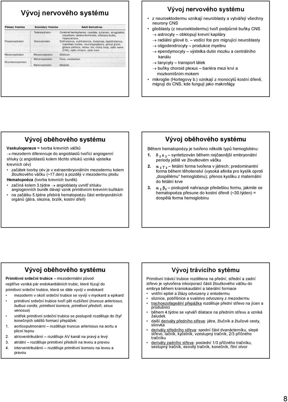 vodící fce pro migrující neuroblasty oligodendrocyty produkce myelinu ependymocyty výstelka dutin mozku a centrálního kanálu tanycyty transport látek buňky choroid plexus bariéra mezi krví a